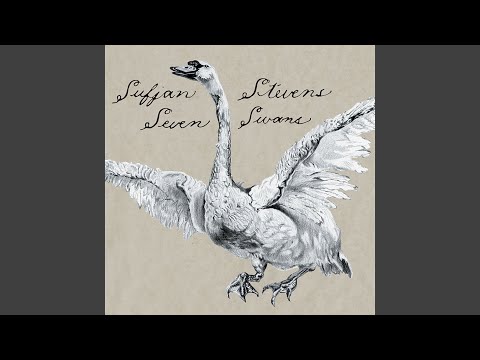 Sufjan Stevens - To Be Alone With You